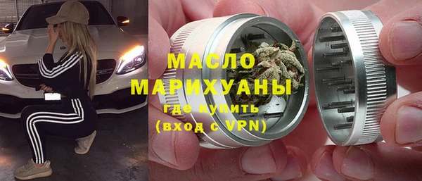 индика Михайлов
