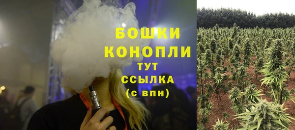 хмурый Михайловск