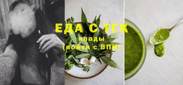 индика Михайлов