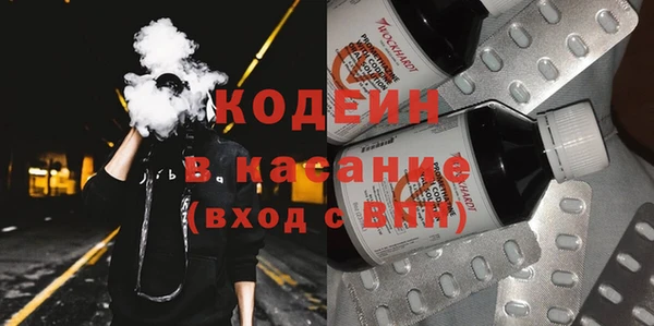 хмурый Михайловск
