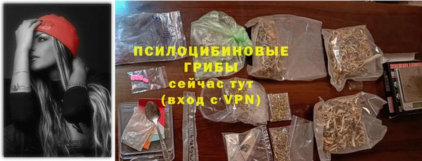 индика Михайлов