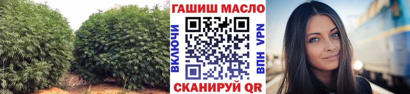 omg как зайти Сычёвка Дистиллят ТГК гашишное масло
