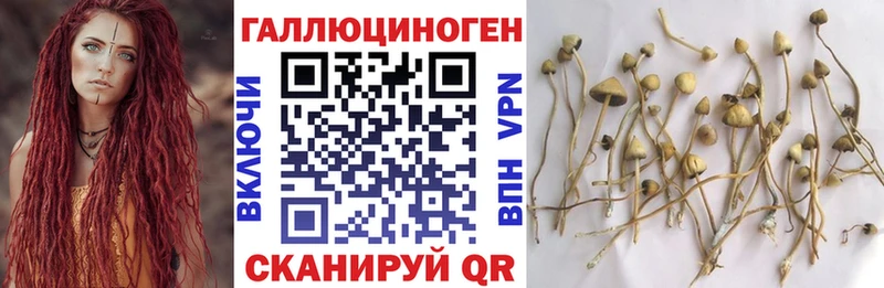 Галлюциногенные грибы Magic Shrooms  Сычёвка 